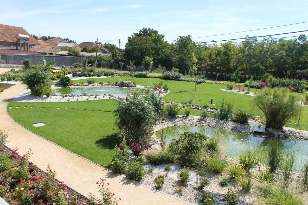 Casa Da Alzira Pension Anadia Buitenkant foto